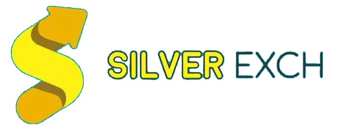 silverbhai version 1 Logo